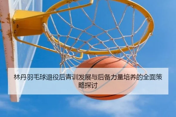林丹羽毛球退役后青训发展与后备力量培养的全面策略探讨 | B SPORTS